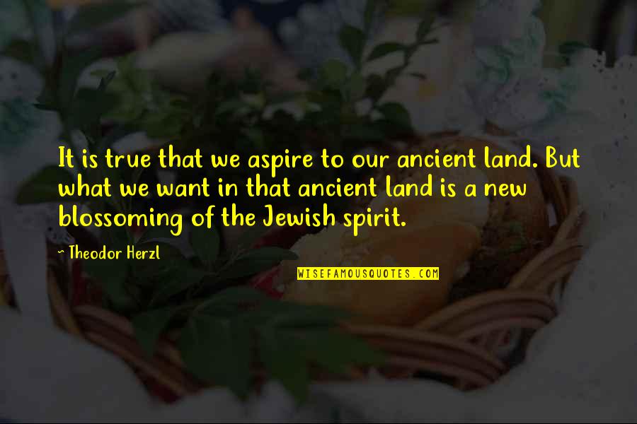 Our Land Quotes By Theodor Herzl: It is true that we aspire to our