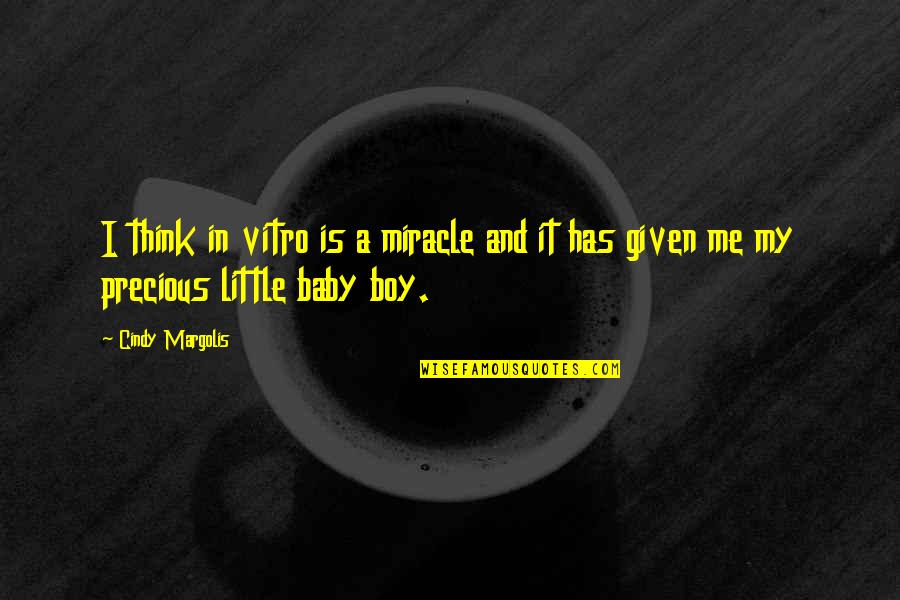 Our Little Boy Quotes By Cindy Margolis: I think in vitro is a miracle and