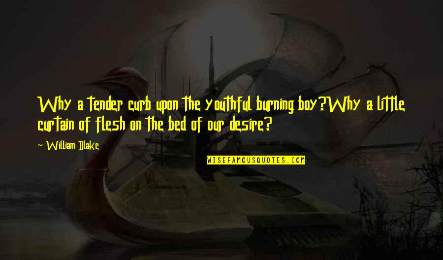 Our Little Boy Quotes By William Blake: Why a tender curb upon the youthful burning
