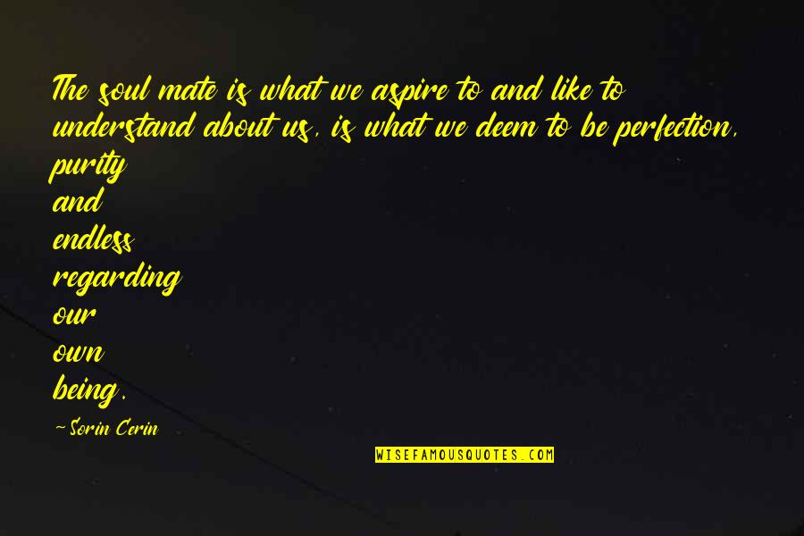Our Love Is Endless Quotes By Sorin Cerin: The soul mate is what we aspire to Our Love Is Endless Quotes By Sorin Cerin: The soul mate is what we aspire to
