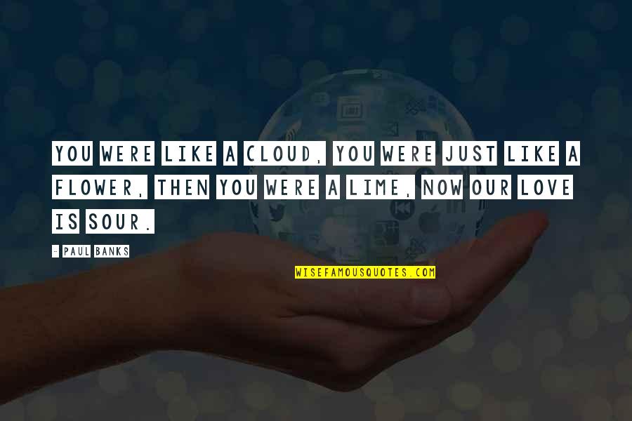 Our Love Is Like Quotes By Paul Banks: You were like a cloud, you were just Our Love Is Like Quotes By Paul Banks: You were like a cloud, you were just