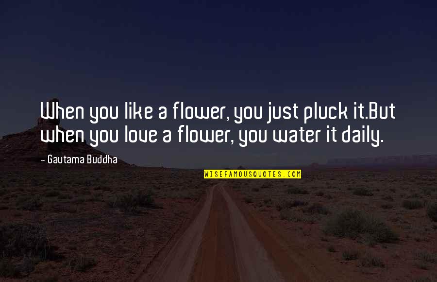 Our Love Is Like Water Quotes By Gautama Buddha: When you like a flower, you just pluck