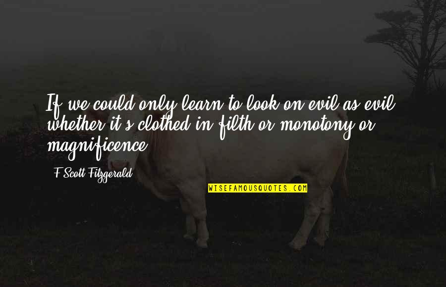 Our Magnificence Quotes By F Scott Fitzgerald: If we could only learn to look on