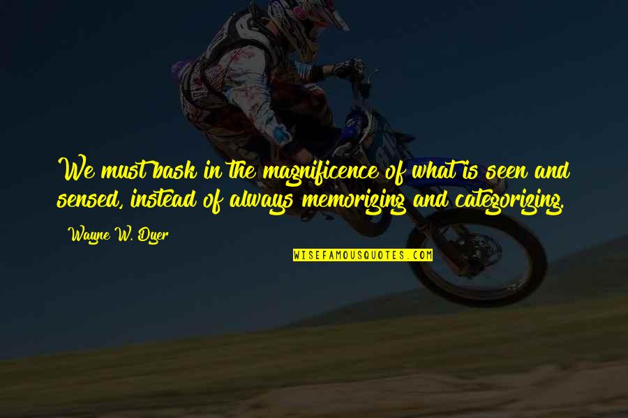 Our Magnificence Quotes By Wayne W. Dyer: We must bask in the magnificence of what