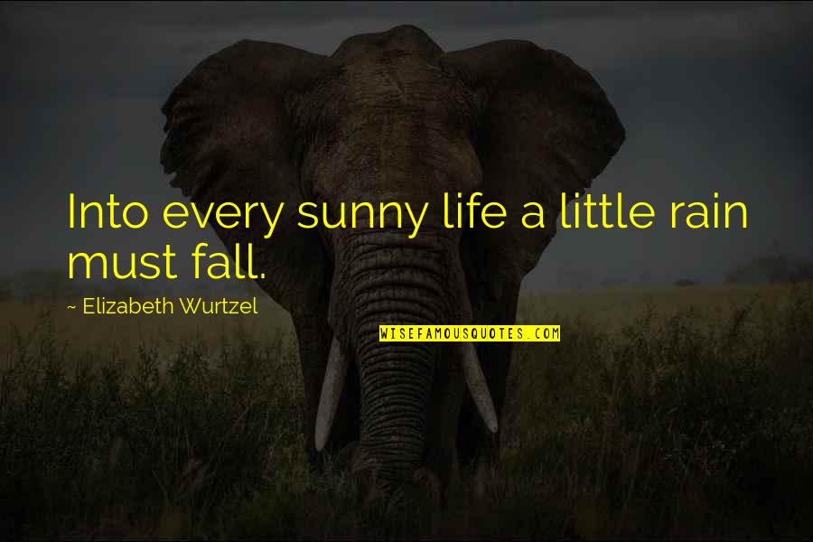 Our Marriage Anniversary Quotes By Elizabeth Wurtzel: Into every sunny life a little rain must