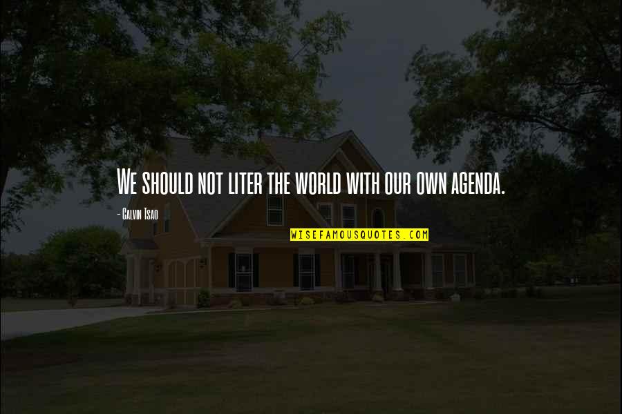 Our Own World Quotes By Calvin Tsao: We should not liter the world with our