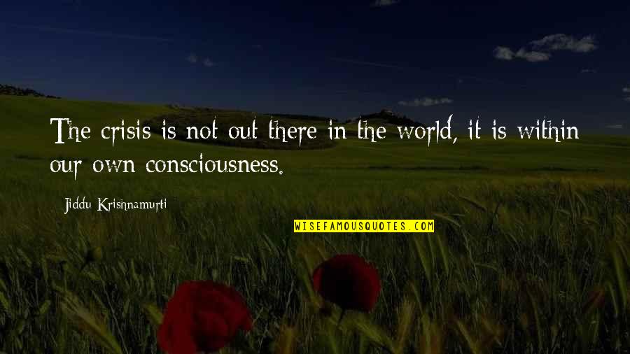 Our Own World Quotes By Jiddu Krishnamurti: The crisis is not out there in the