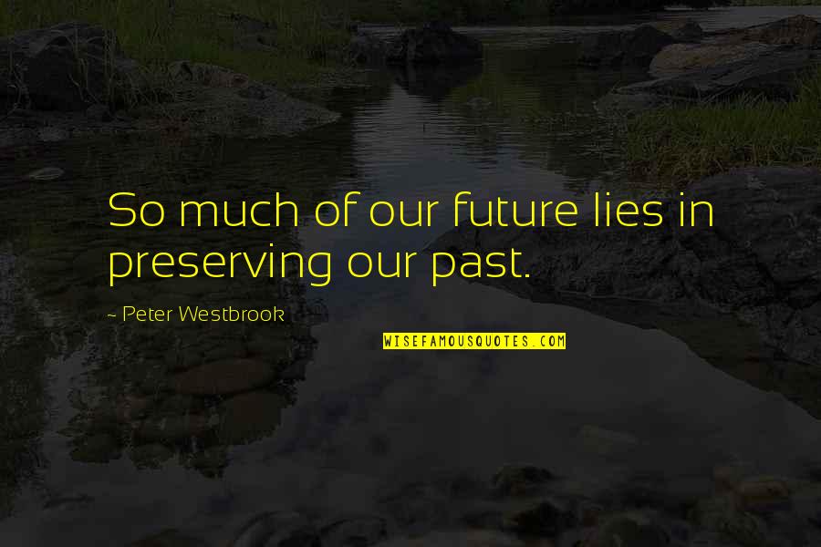 Our Past Quotes By Peter Westbrook: So much of our future lies in preserving