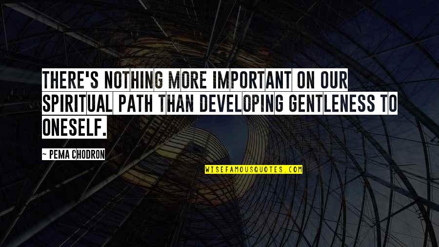 Our Path Quotes By Pema Chodron: There's nothing more important on our spiritual path