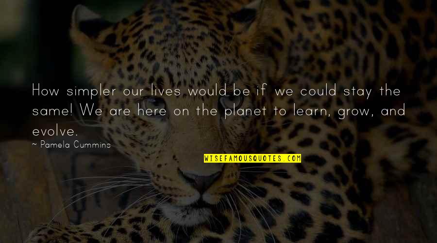 Our Planet Quotes By Pamela Cummins: How simpler our lives would be if we