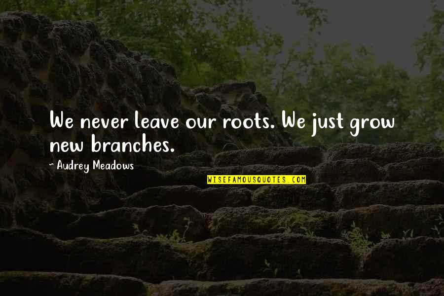Our Roots Quotes By Audrey Meadows: We never leave our roots. We just grow Our Roots Quotes By Audrey Meadows: We never leave our roots. We just grow