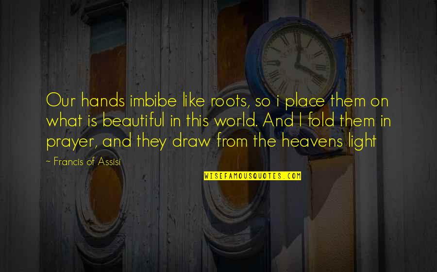 Our Roots Quotes By Francis Of Assisi: Our hands imbibe like roots, so i place Our Roots Quotes By Francis Of Assisi: Our hands imbibe like roots, so i place
