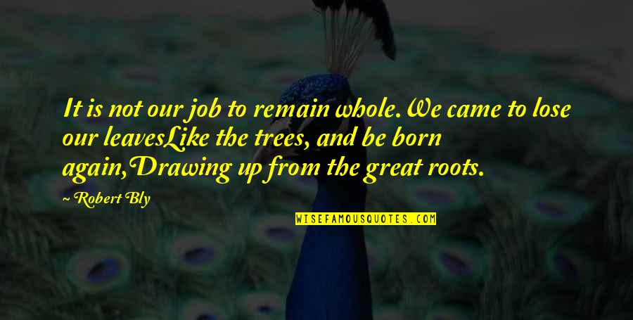 Our Roots Quotes By Robert Bly: It is not our job to remain whole.We Our Roots Quotes By Robert Bly: It is not our job to remain whole.We