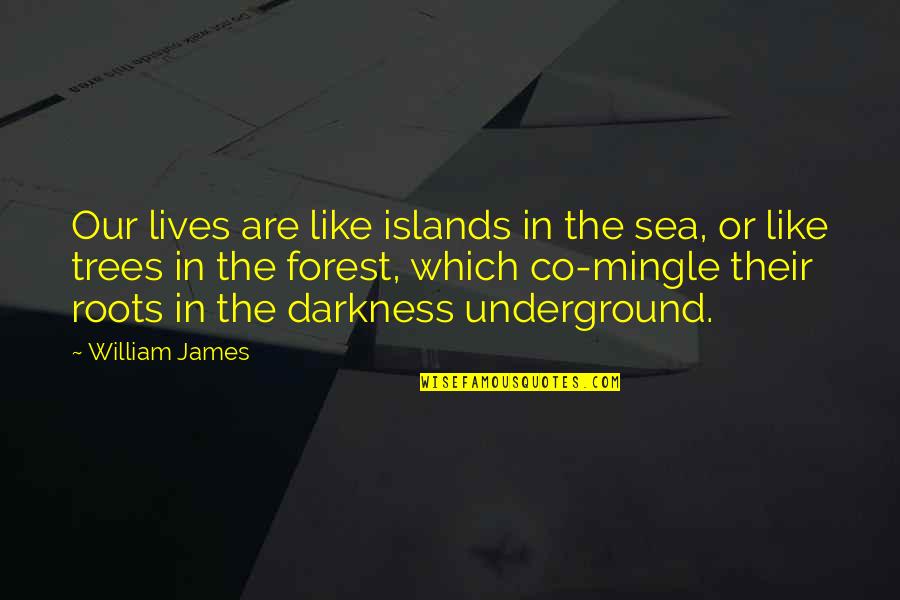 Our Roots Quotes By William James: Our lives are like islands in the sea, Our Roots Quotes By William James: Our lives are like islands in the sea,