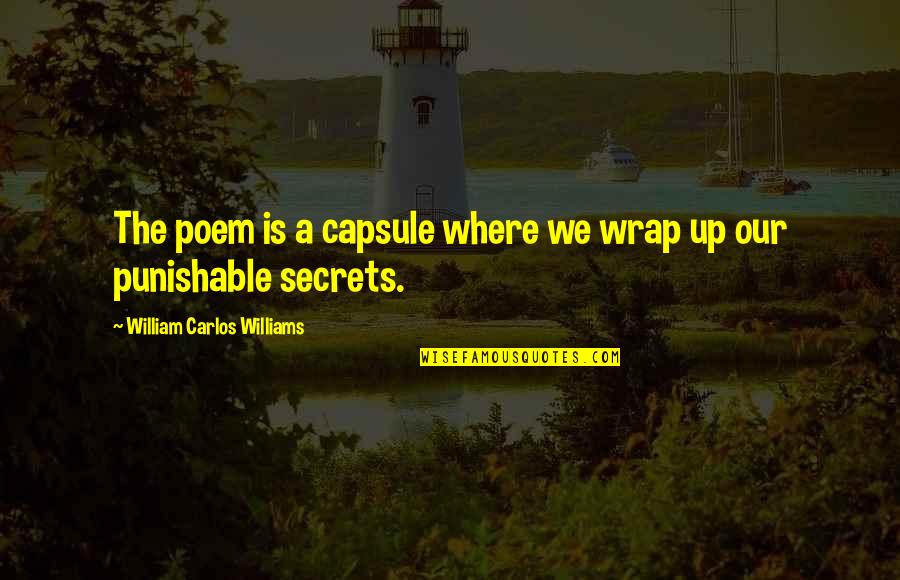 Our Secret Quotes By William Carlos Williams: The poem is a capsule where we wrap