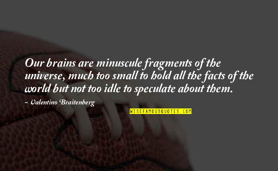 Our Small World Quotes By Valentino Braitenberg: Our brains are minuscule fragments of the universe, Our Small World Quotes By Valentino Braitenberg: Our brains are minuscule fragments of the universe,