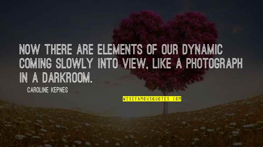 Our View Quotes By Caroline Kepnes: Now there are elements of our dynamic coming