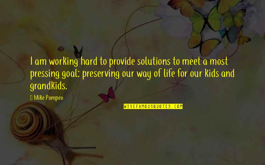 Our Way Of Life Quotes By Mike Pompeo: I am working hard to provide solutions to