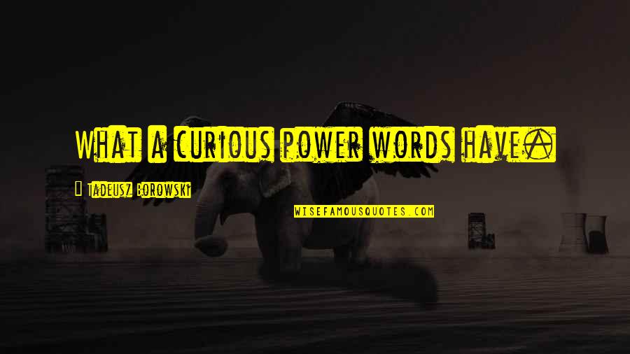 Our Words Have Power Quotes By Tadeusz Borowski: What a curious power words have.