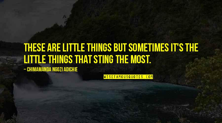 Ourian Firm Quotes By Chimamanda Ngozi Adichie: These are little things but sometimes it's the