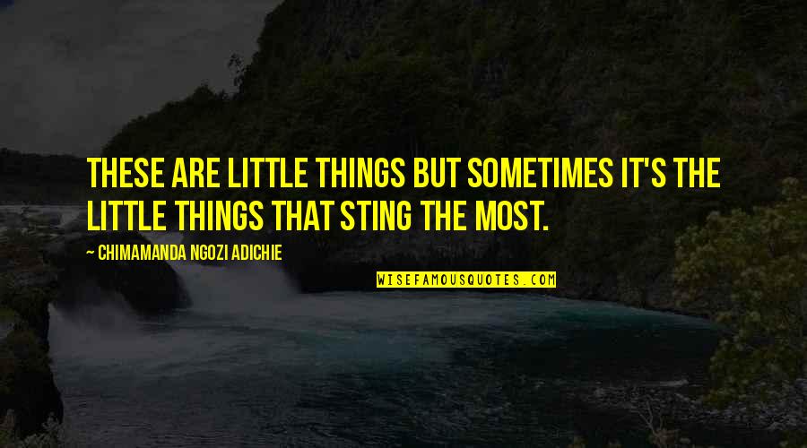 Ourian Firm Quotes By Chimamanda Ngozi Adichie: These are little things but sometimes it's the Ourian Firm Quotes By Chimamanda Ngozi Adichie: These are little things but sometimes it's the