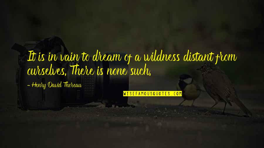 Ourselves Quotes By Henry David Thoreau: It is in vain to dream of a