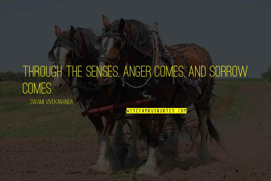 Ousar Quotes By Swami Vivekananda: Through the senses, anger comes, and sorrow comes.