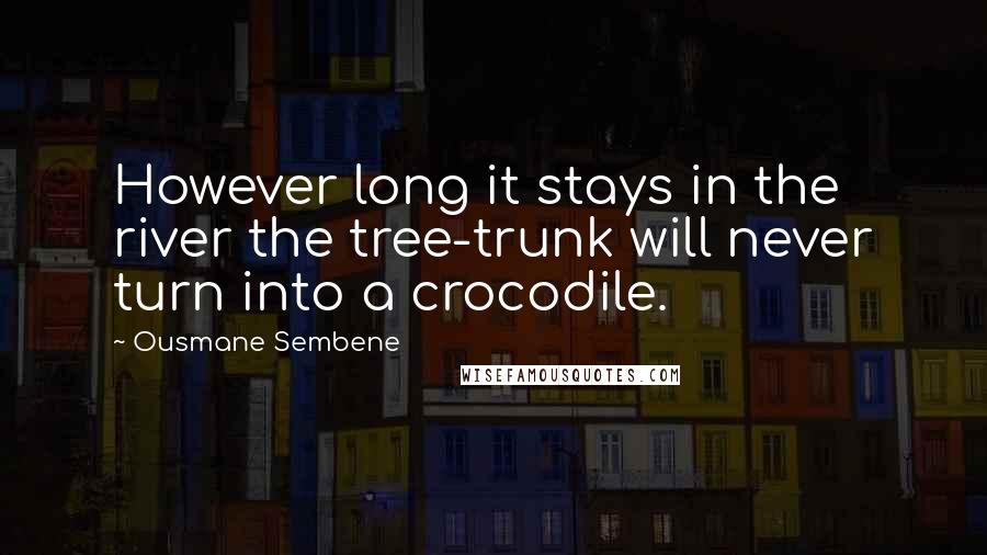 Ousmane Sembene quotes: However long it stays in the river the tree-trunk will never turn into a crocodile.