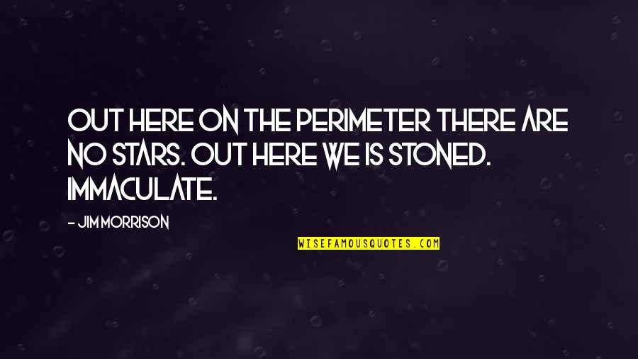 Out Here Quotes By Jim Morrison: Out here on the perimeter there are no