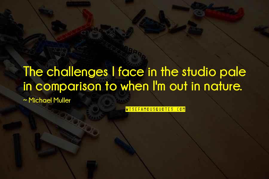 Out In Nature Quotes By Michael Muller: The challenges I face in the studio pale