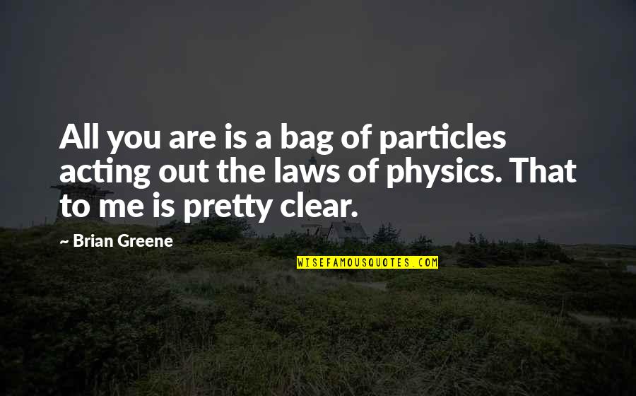 Out Laws Quotes By Brian Greene: All you are is a bag of particles