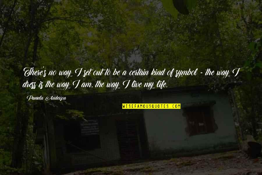 Out My Life Quotes By Pamela Anderson: There's no way I set out to be