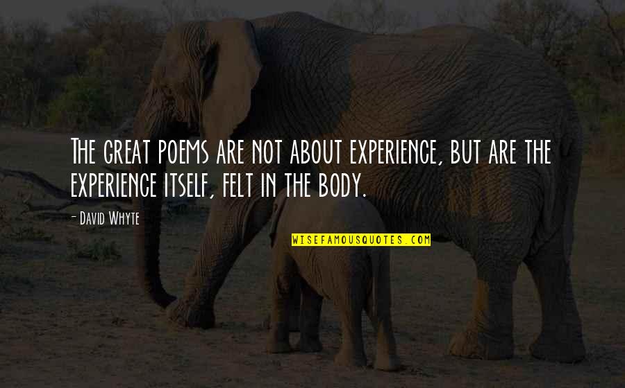 Out Of Body Experience Quotes By David Whyte: The great poems are not about experience, but Out Of Body Experience Quotes By David Whyte: The great poems are not about experience, but