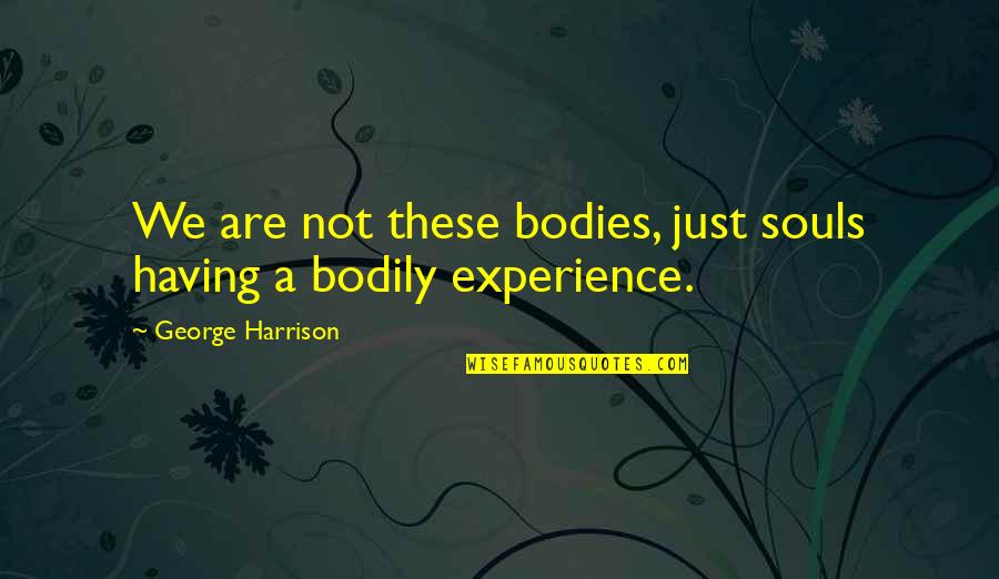 Out Of Body Experience Quotes By George Harrison: We are not these bodies, just souls having Out Of Body Experience Quotes By George Harrison: We are not these bodies, just souls having