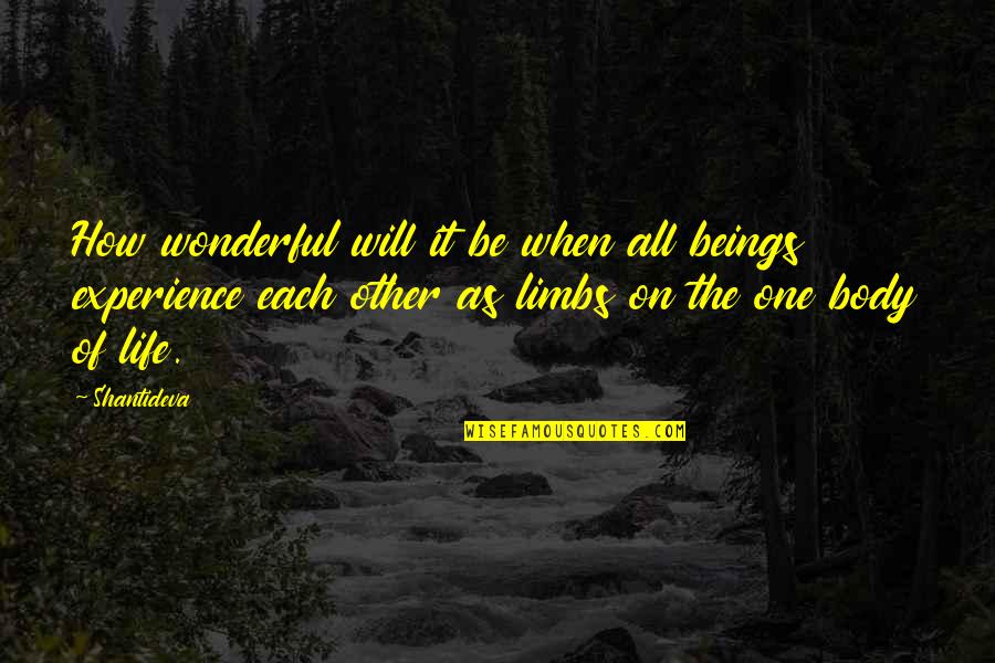 Out Of Body Experience Quotes By Shantideva: How wonderful will it be when all beings Out Of Body Experience Quotes By Shantideva: How wonderful will it be when all beings