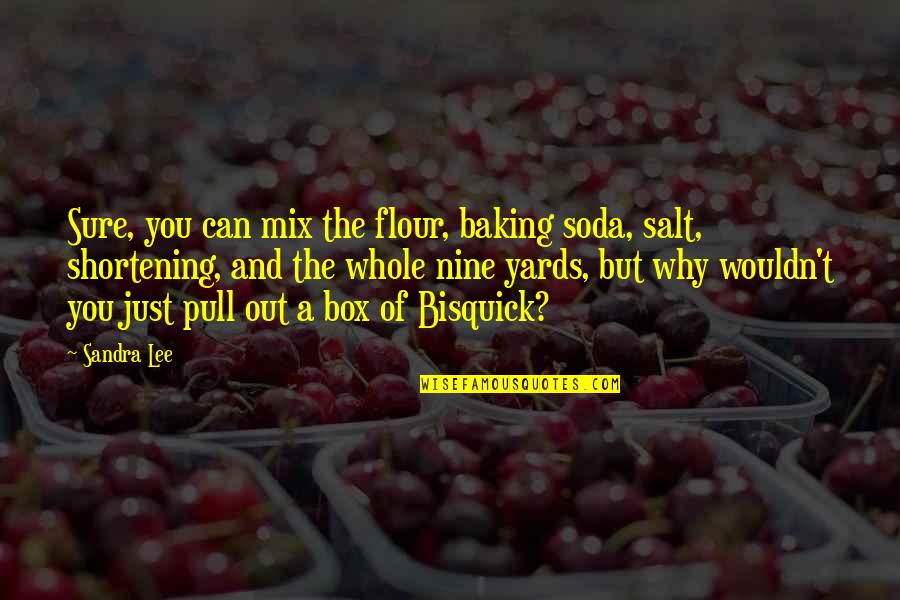 Out Of Box Quotes By Sandra Lee: Sure, you can mix the flour, baking soda,