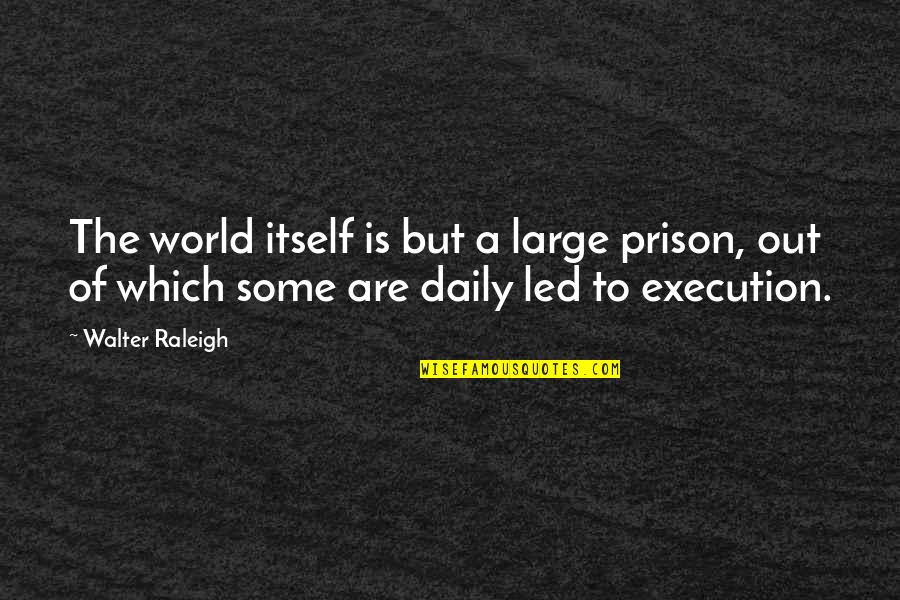 Out Of Prison Quotes By Walter Raleigh: The world itself is but a large prison,