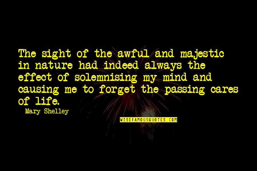 Out Of Sight Out Mind Quotes By Mary Shelley: The sight of the awful and majestic in