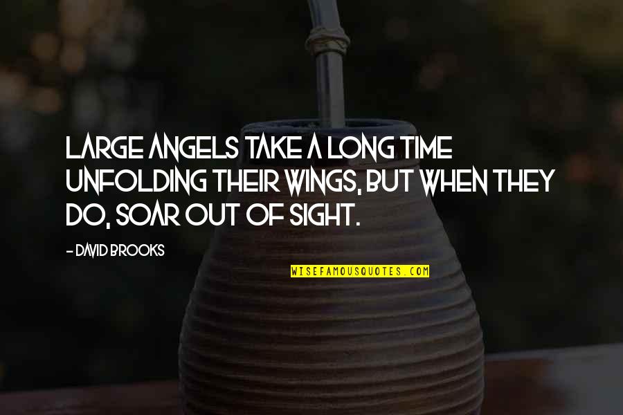Out Of Sight Out Of Time Quotes By David Brooks: Large angels take a long time unfolding their