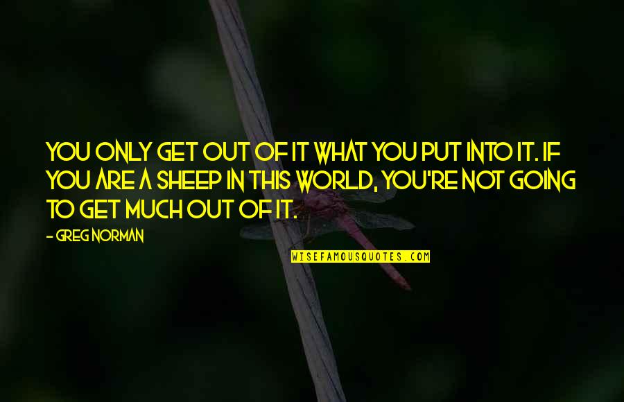 Out Of This World Quotes By Greg Norman: You only get out of it what you