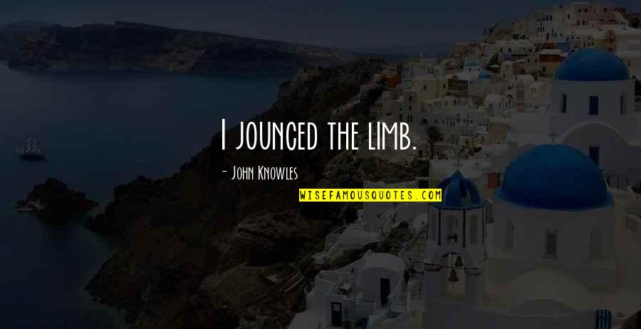 Out On A Limb Quotes By John Knowles: I jounced the limb.