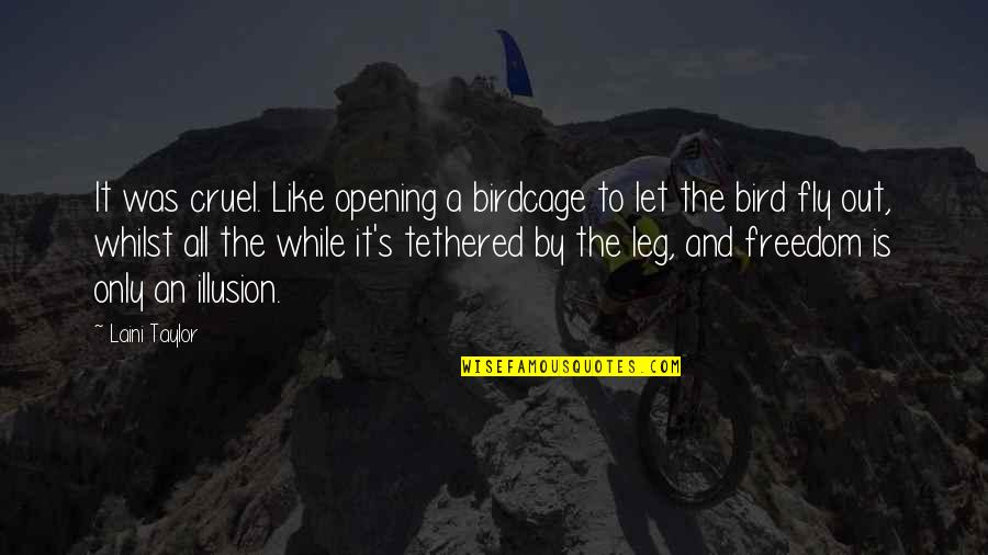 Out Prison Quotes By Laini Taylor: It was cruel. Like opening a birdcage to Out Prison Quotes By Laini Taylor: It was cruel. Like opening a birdcage to