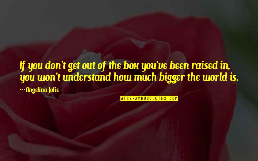 Out The Box Quotes By Angelina Jolie: If you don't get out of the box