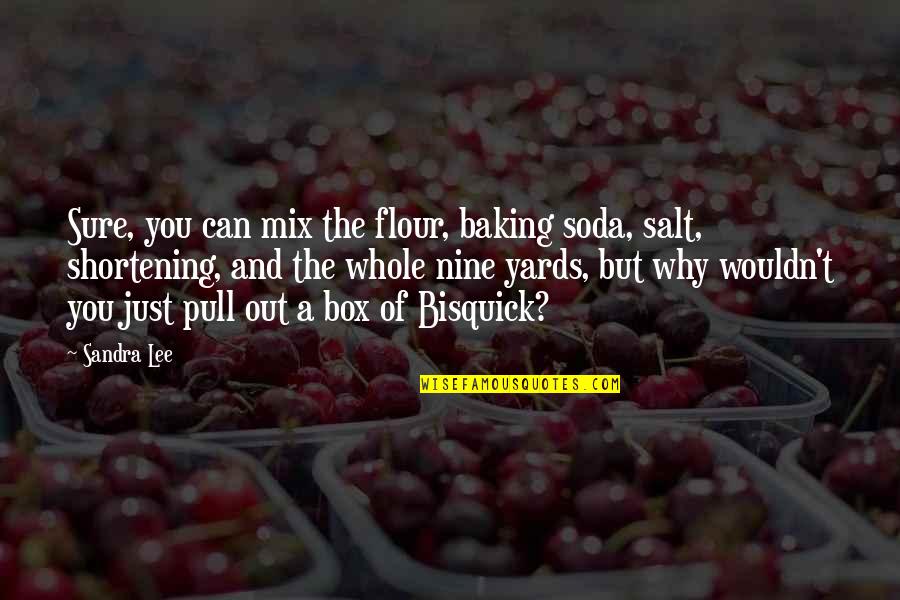 Out The Box Quotes By Sandra Lee: Sure, you can mix the flour, baking soda,