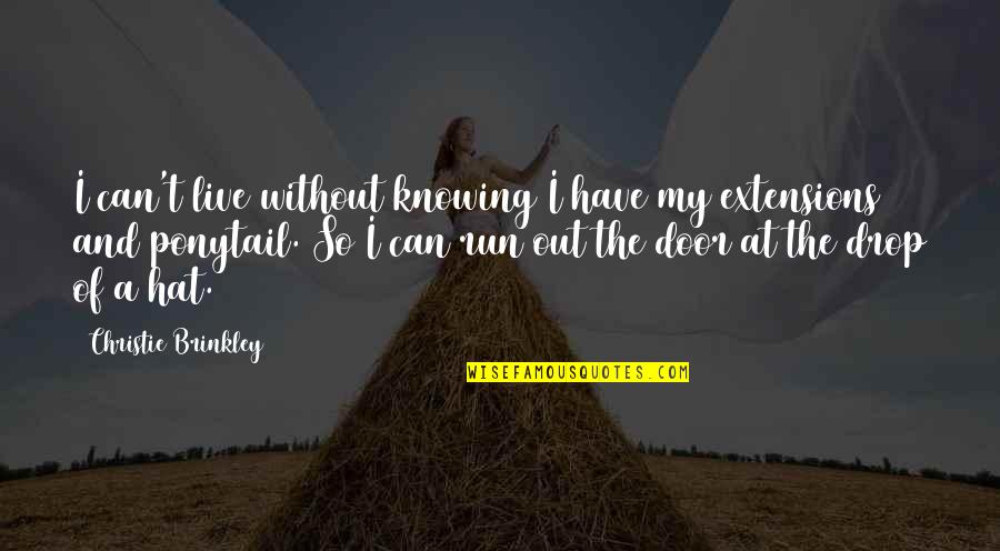Out The Door Quotes By Christie Brinkley: I can't live without knowing I have my