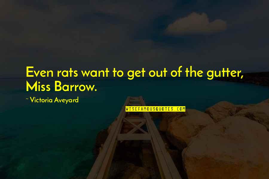 Out The Gutter Quotes By Victoria Aveyard: Even rats want to get out of the