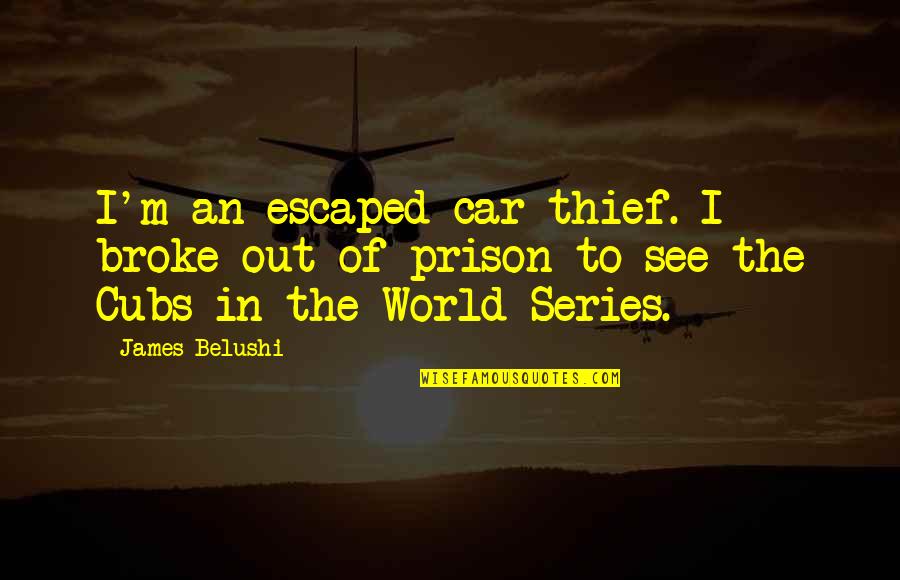 Out To See Quotes By James Belushi: I'm an escaped car thief. I broke out