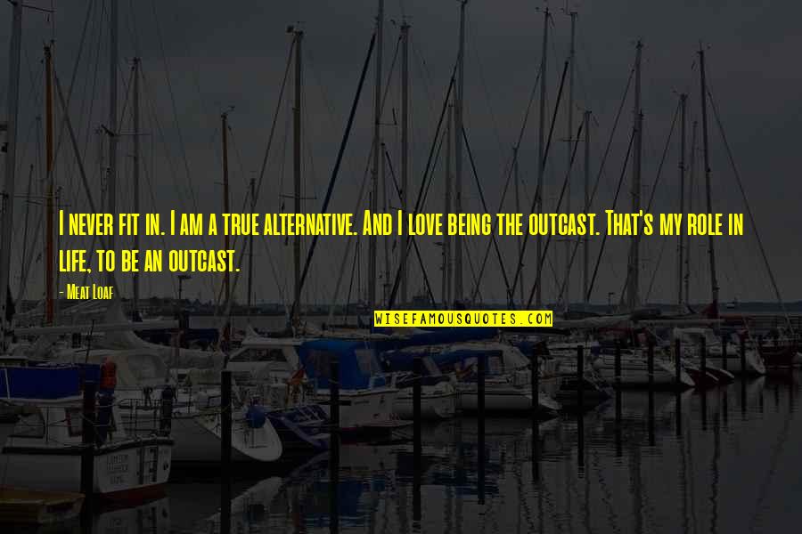 Outcast Quotes By Meat Loaf: I never fit in. I am a true Outcast Quotes By Meat Loaf: I never fit in. I am a true
