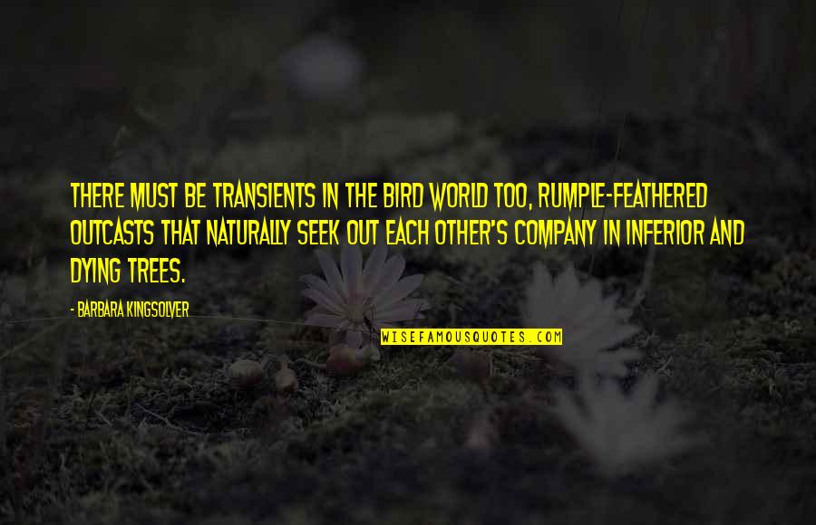 Outcasts Quotes By Barbara Kingsolver: There must be transients in the bird world