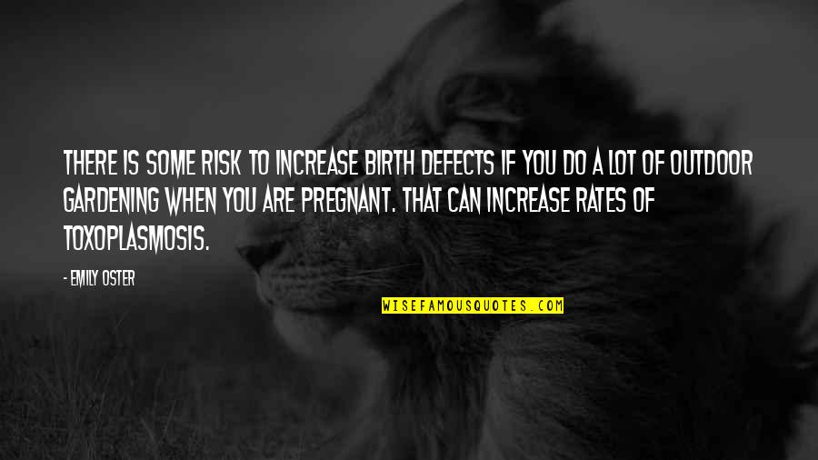 Outdoor Quotes By Emily Oster: There is some risk to increase birth defects